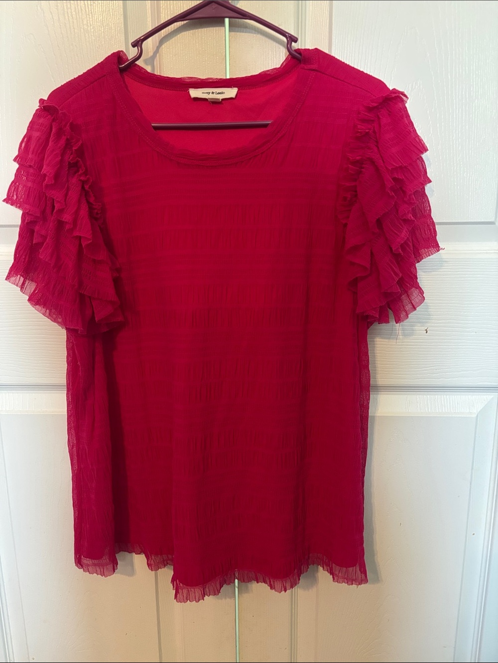 Ruffled Sleeve Scoop Neck Blouse in Hot Pink